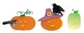 Halloween pumpkins, stickers for kids, surprised facial expressions, funny cartoon vegetables, pictures for the party, crow on a h