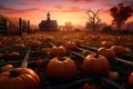 Halloween pumpkins at sunset with a beautiful sky in the background, A pumpkin patch with autumn leaves falling, AI Generated Royalty Free Stock Photo