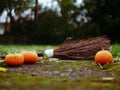 Halloween pumpkins with witch broomstick