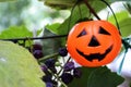 Halloween Pumpkins On Wood In A Spooky Forest Royalty Free Stock Photo