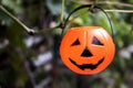 Halloween Pumpkins On Wood In A Spooky Forest Royalty Free Stock Photo