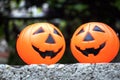 Halloween Pumpkins On Wood In A Spooky Forest Royalty Free Stock Photo