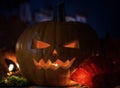 Halloween Pumpkins On Wood In A Spooky Forest At Night, with scary light background