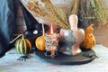 Halloween, pumpkins on a wooden table, a lantern with a burning fire, a witch`s hat, spiders and bouquets of dry herbs Royalty Free Stock Photo