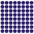 Halloween Purple Skeletons Pattern Texture Background