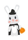 Halloween rabbit in witches costume with pumpkin