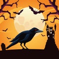 Halloween raven at night vector design