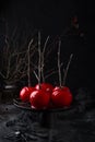 Halloween red caramelized candy apples Royalty Free Stock Photo