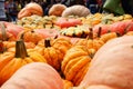 Halloween`s coming: pumpkins ready