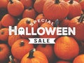 Halloween Sale Card with Fall Pumpkins Background