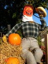 Halloween Scarecrow