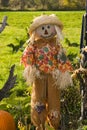 Halloween scarecrow Royalty Free Stock Photo