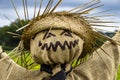 Halloween scarecrow in a Dorset field in England. Royalty Free Stock Photo