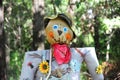 Halloween scarecrow in a field. Royalty Free Stock Photo