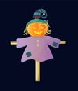 Halloween scarecrow made of pumpkin wearing witch hat and a shirt.