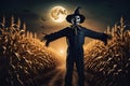 Halloween scarecrow middle of a corn field Royalty Free Stock Photo