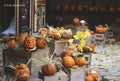 Halloween Scarecrow Pumpkin Pimped Autumn Royalty Free Stock Photo