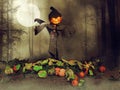 Halloween scarecrow and raven Royalty Free Stock Photo