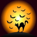 Halloween Scarry Cat Royalty Free Stock Photo