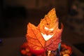 Halloween scary eyes leaf Royalty Free Stock Photo