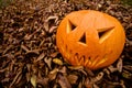 Halloween Scary Jack-o-Lantern Pumpkin