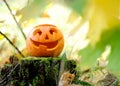 Halloween scary pumpkin in autumn forest Royalty Free Stock Photo