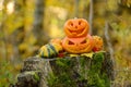 Halloween scary pumpkin in autumn forest Royalty Free Stock Photo