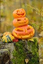 Halloween scary pumpkin in autumn forest Royalty Free Stock Photo