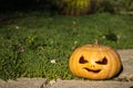 Halloween scary pumpkin in the gren grass Royalty Free Stock Photo