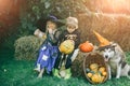 Halloween Scene with cute children. Children sister and brother with pumpkin dressed like skeleton and witch for