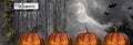 Halloween Scene illustration background