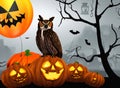 Halloween Scene With Owl spooky pumpkins Royalty Free Stock Photo