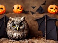 Halloween Scene With Owl spooky pumpkins Royalty Free Stock Photo