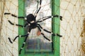 Halloween spider on a window