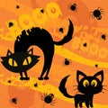 Halloween seamless pattern with black cats, spider and the word booo - vector