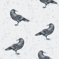 Halloween seamless pattern of watercolor elements black raven Royalty Free Stock Photo