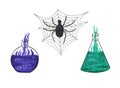 Halloween set. Flasks with purple and green potion, spider web with black spider. Icons. Halloween symbols. Doodle style.