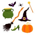 Halloween set: pot, witches hat, magic wand, shoe, broom, pumpkin, spider, bat. Vector illustration Royalty Free Stock Photo