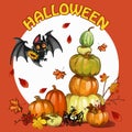 Halloween set with pumpkin, bat and spider Royalty Free Stock Photo