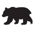 Halloween Silhouette Grizzly Bear Animal Body Royalty Free Stock Photo
