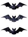 Halloween silhouettes of watercolor terrible bats isolated on white background