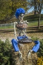 Halloween skeleton with a blue wig