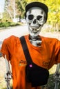 Halloween skeleton boy wearing a cap and bag