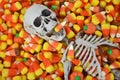 Halloween skeleton in candy