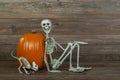 Halloween skeleton and cat skeleton with pumpkin