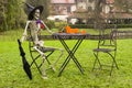 Halloween skeleton decoration in garden