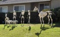 Halloween Skeleton group, horse, few people and dogs Royalty Free Stock Photo