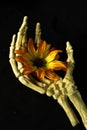 Skeleton hand holding a yellow and orange flower