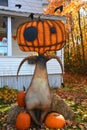 Halloween skeleton scarecrow or hay-man