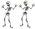 Halloween Skeletons Standing